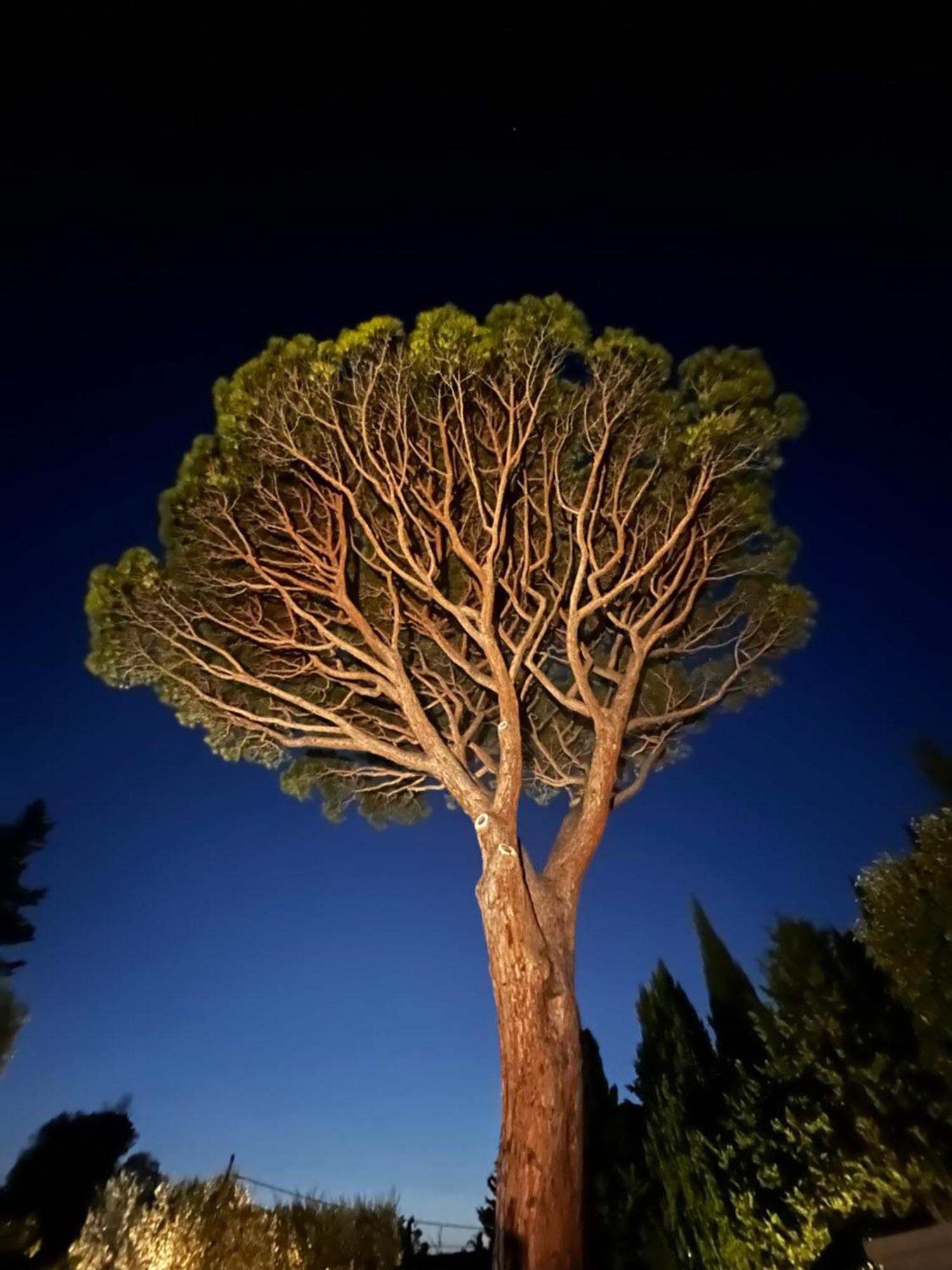 Villavos- Le Bocage Cassis Exteriér fotografie